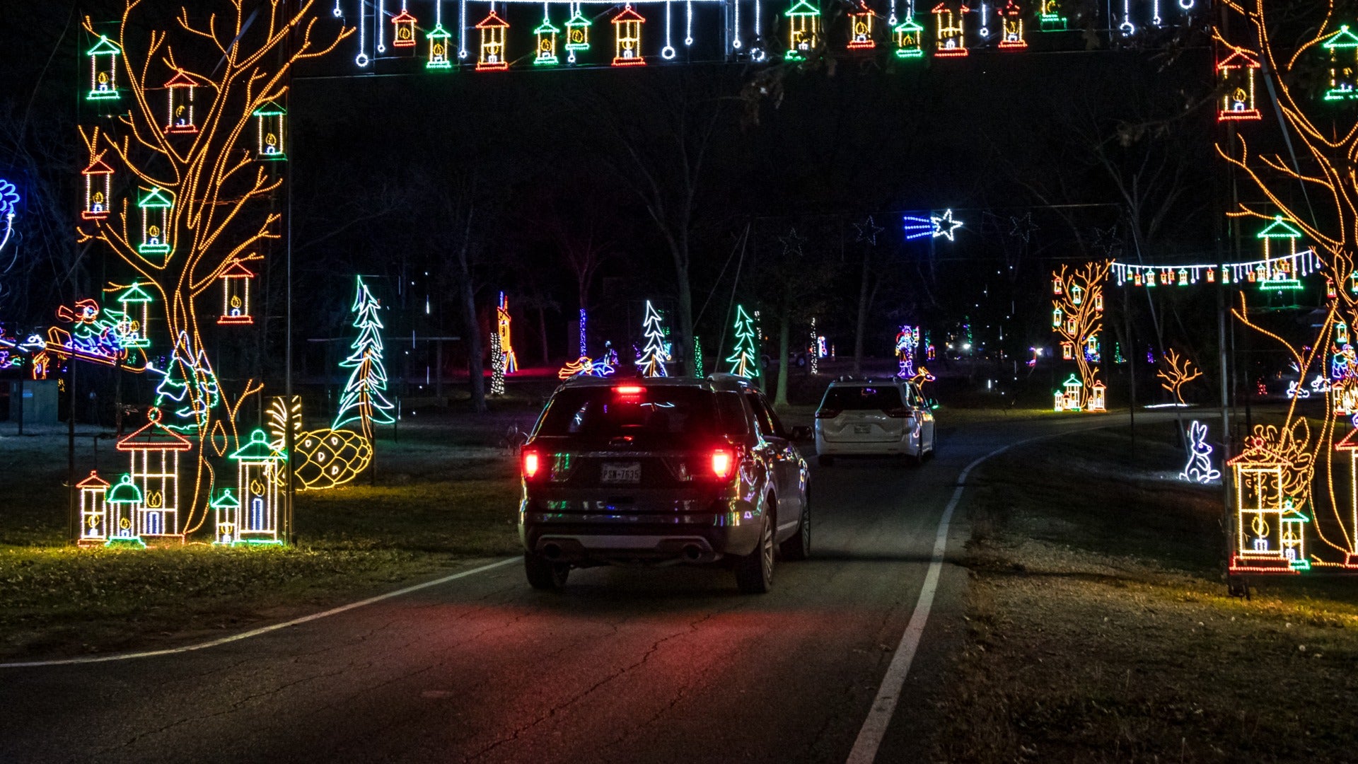 cars going through an outdoor christmas lights display